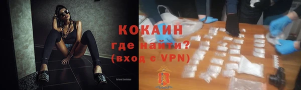 шишки Алексин
