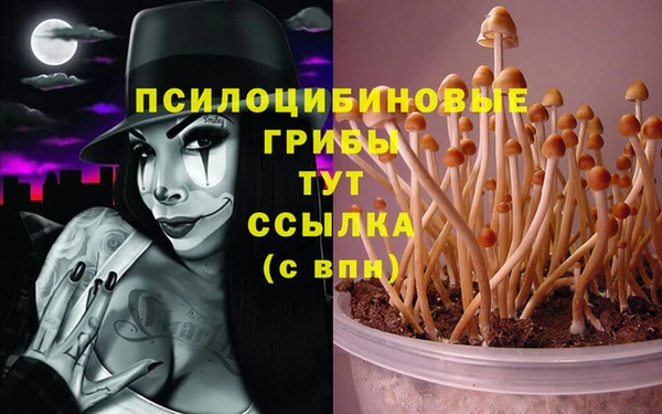 шишки Алексин