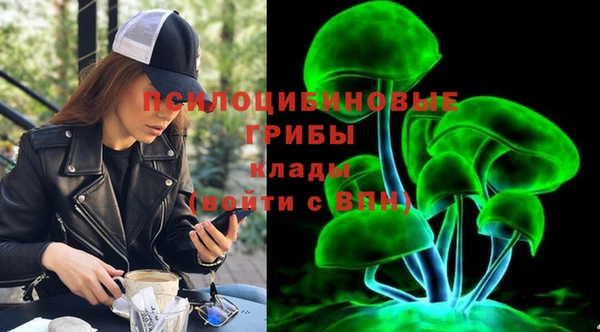 2c-b Алзамай