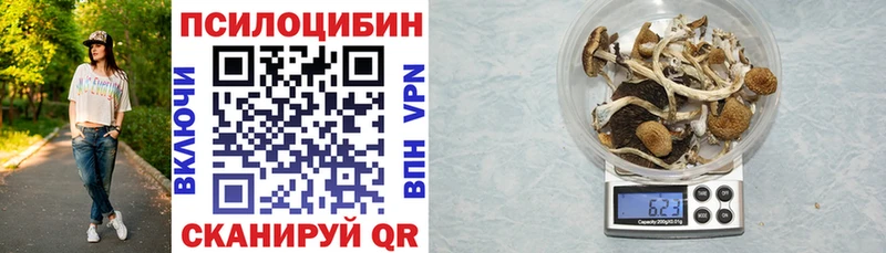 цена наркотик  Игарка  Псилоцибиновые грибы мухоморы 